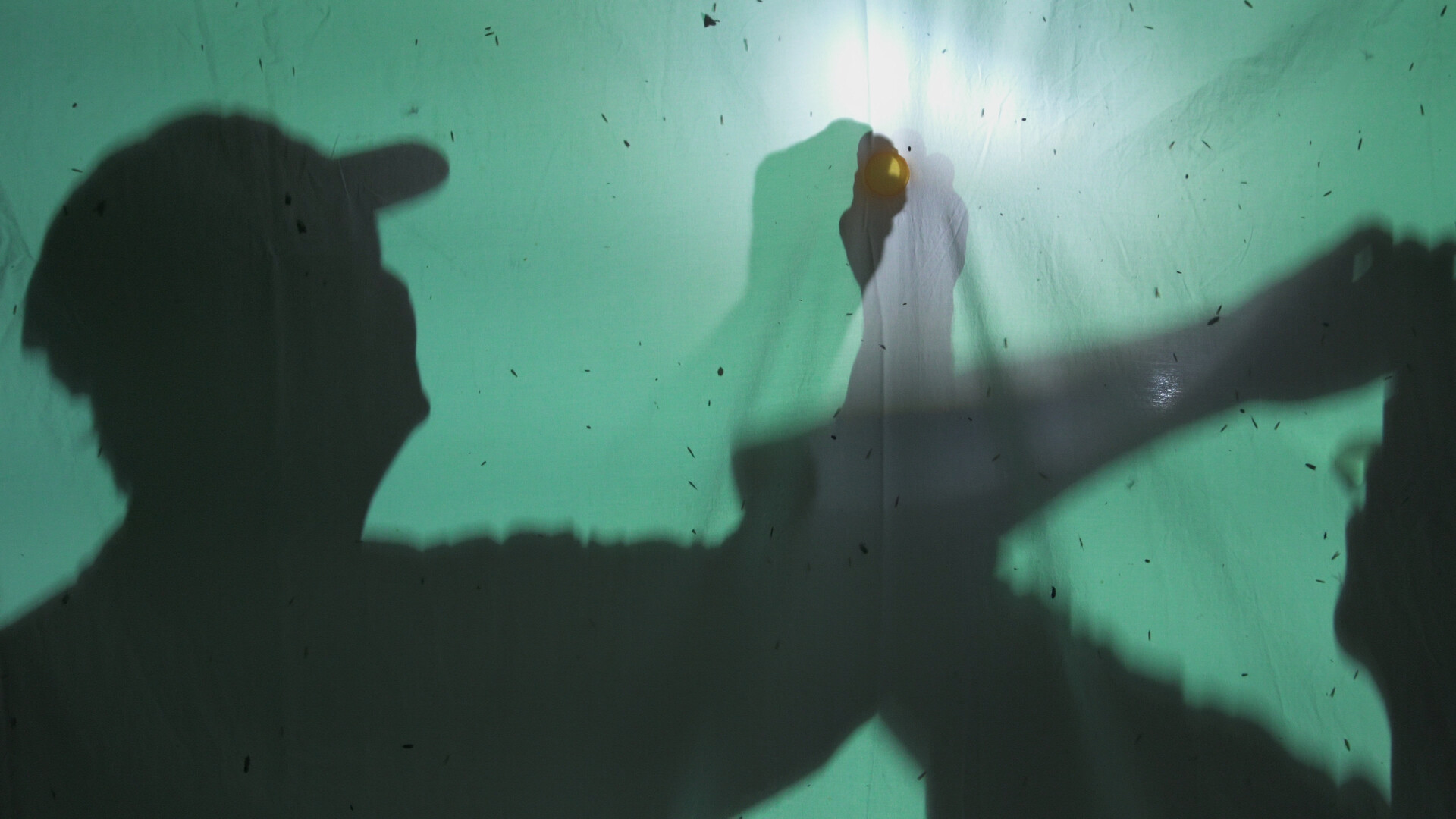 A Biological Bore: 'Just Above the Surface of the Earth' | Green Film Festival of San Francisco 2024