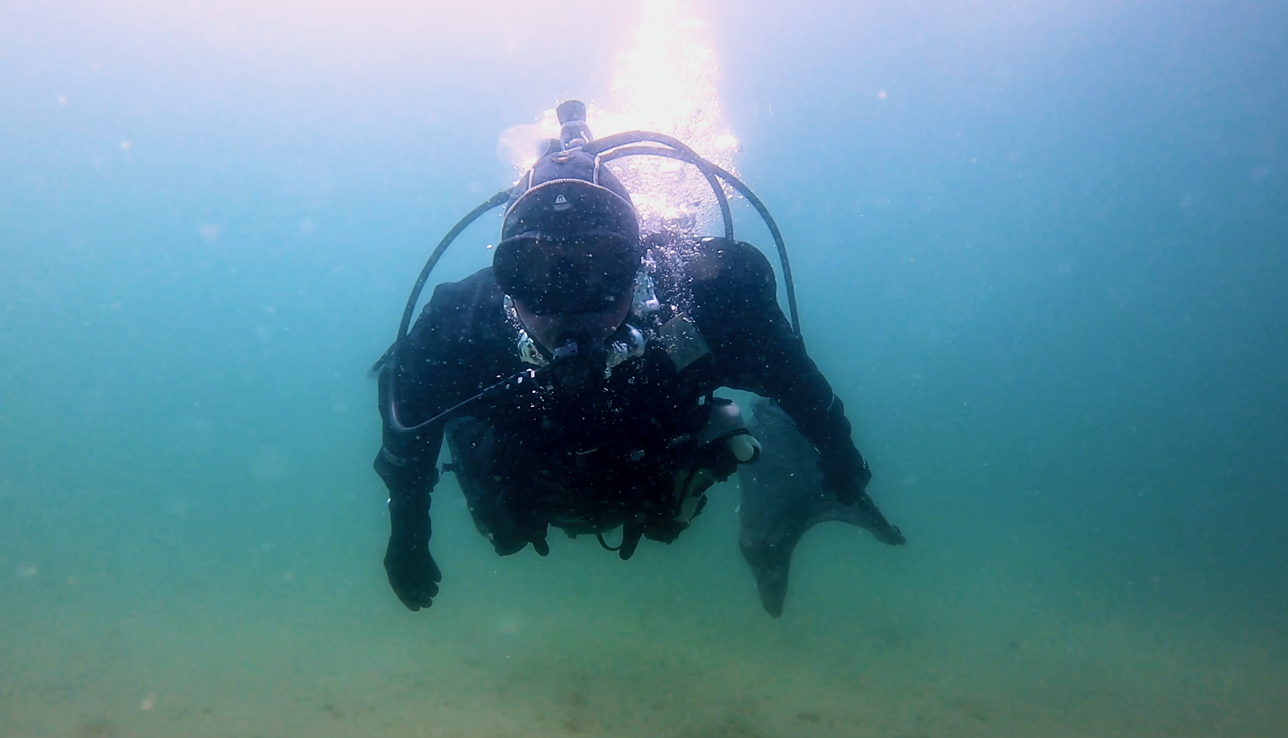 Fishing & Living: 'In the Whale' | Green Film Festival of San Francisco 2024
