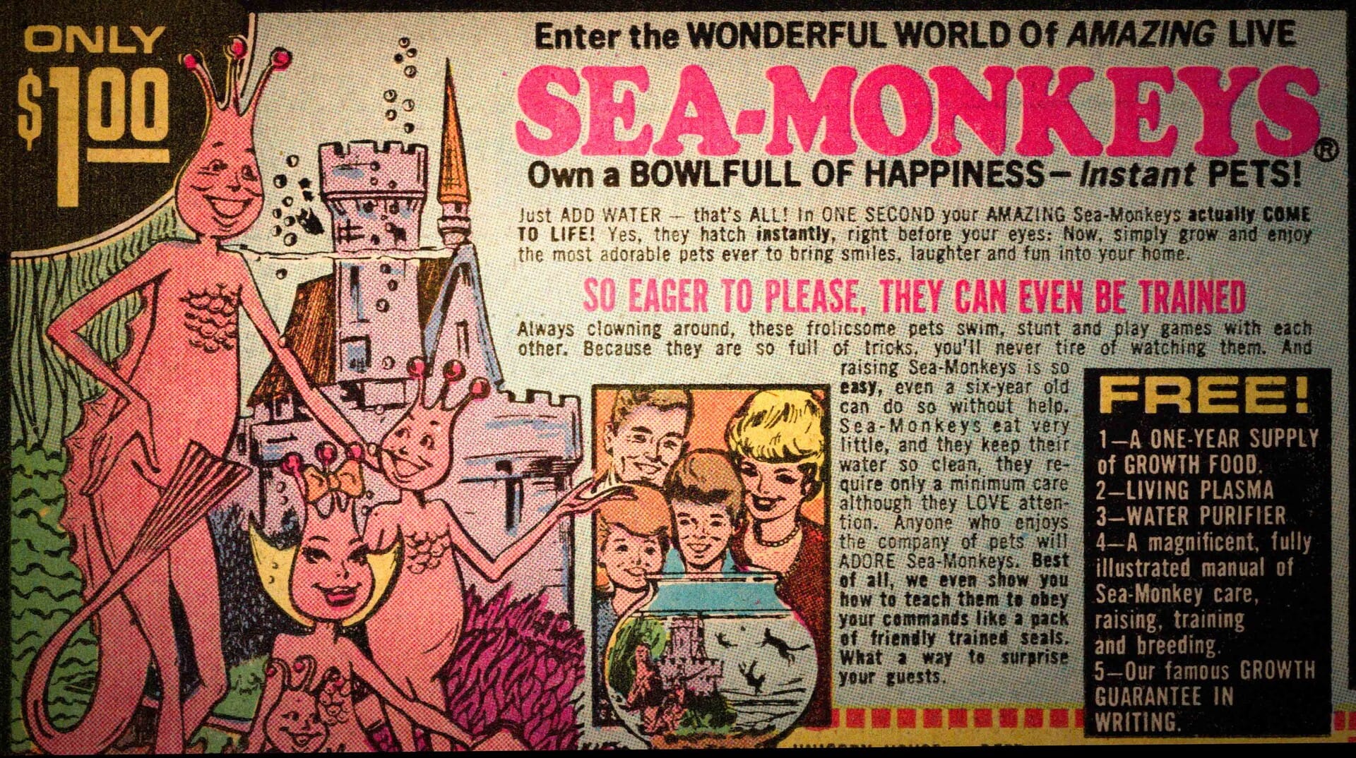 There’s More to the Sea Monkeys than Meets the Tank | SF DocFest 2026