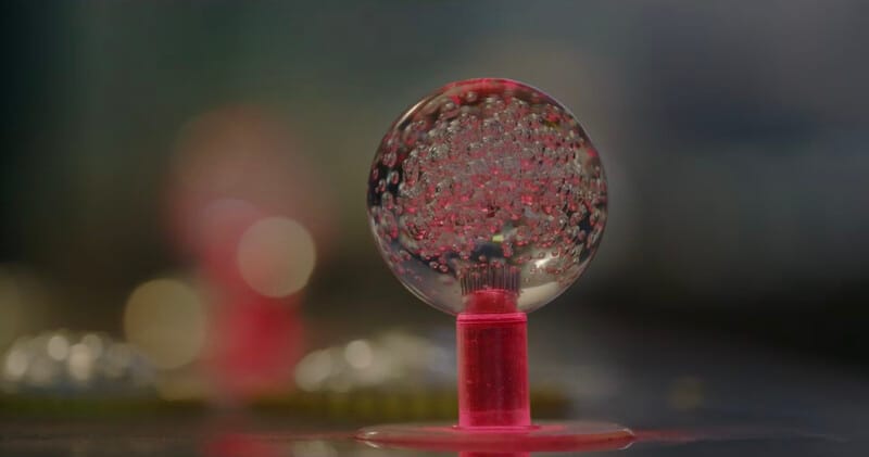 With Skin Stretched Thin, They Seek Serenity from Trauma | SF DocFest 2026