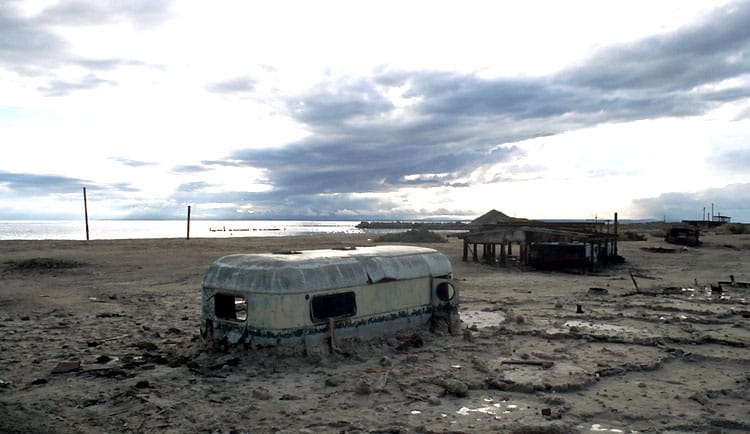 Plenty of Plague, Few Pleasures in the "Perfect Sewer" of the Salton Sea