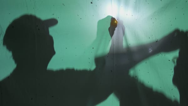 A Biological Bore: 'Just Above the Surface of the Earth' | Green Film Festival of San Francisco 2024