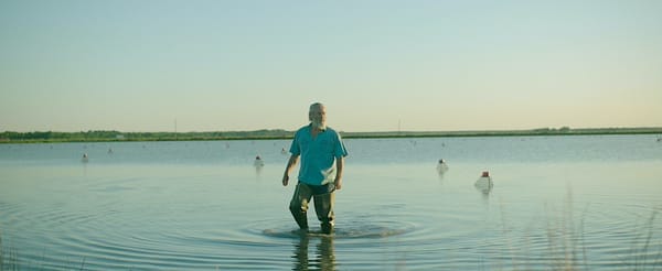 'Pointe Noire' review - No Such Thing as Half Cajun